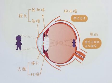 图片 13
