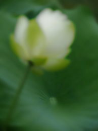 图片 16