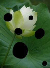 图片 18